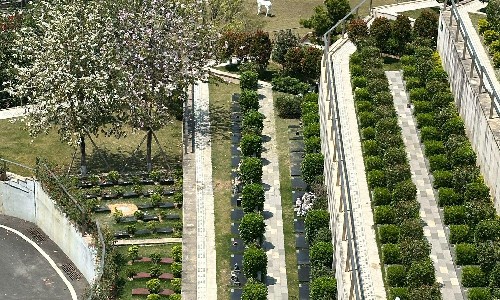 國內墓園